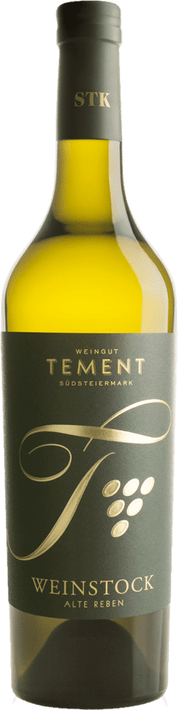 Weinstock-Alte-Reben-WR