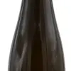 Singerriedel