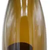 Singerriedel