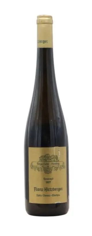 Singerriedel