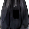 Albuca
