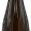 Singerriedel